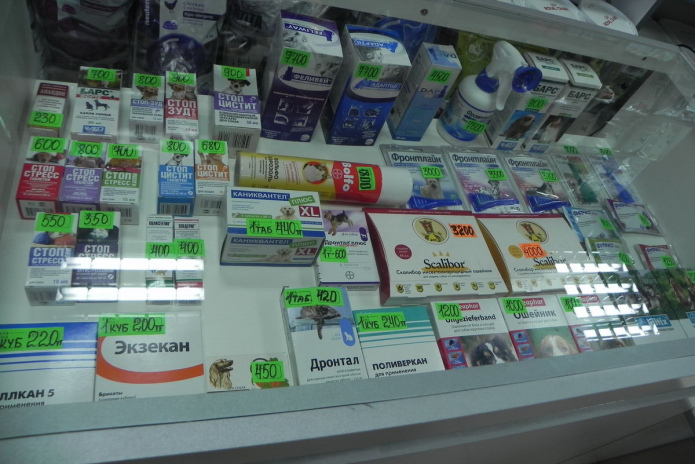 Казахстанцы предпочитают усыновлять здоровых детей раннего возраста